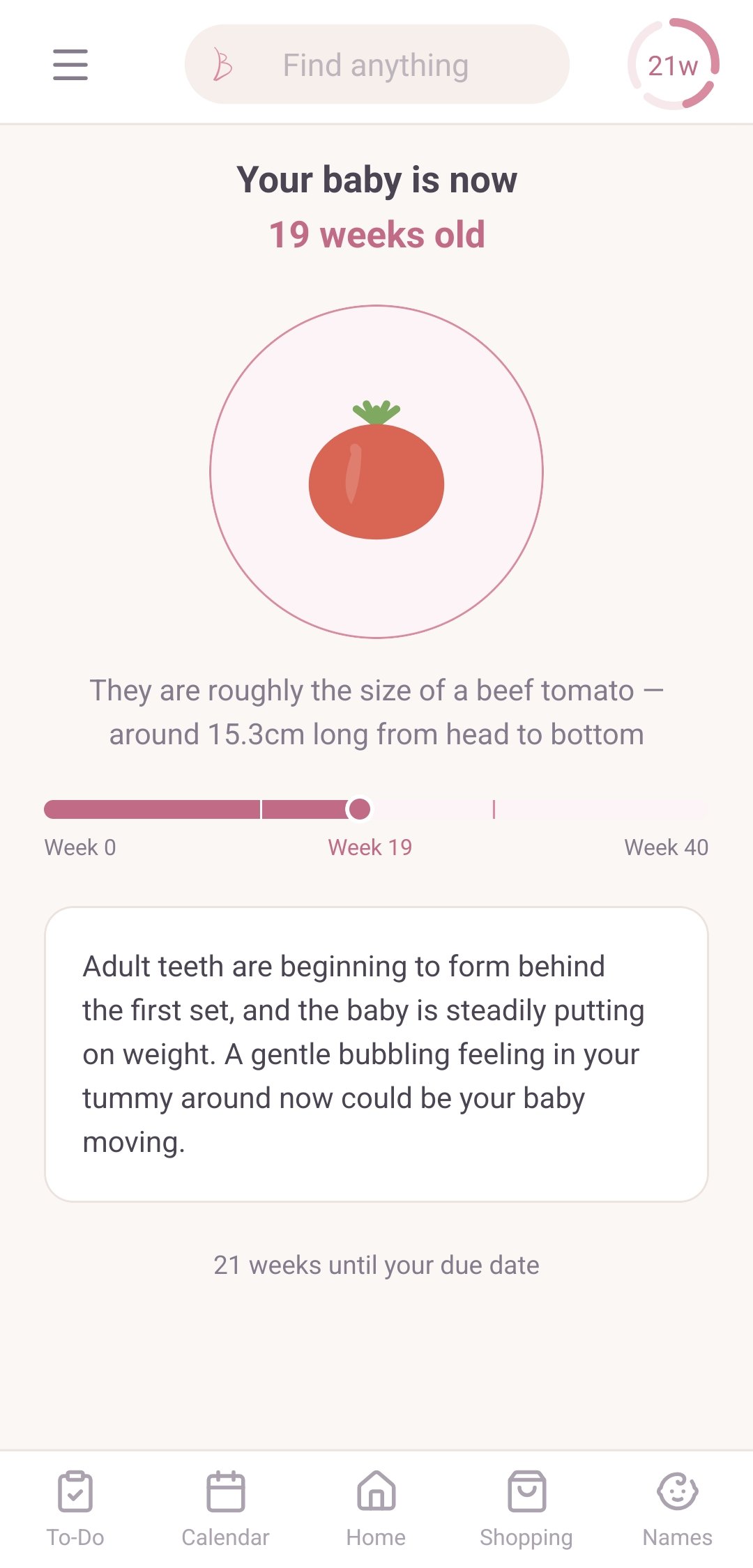 Week-by-week pregnancy progress