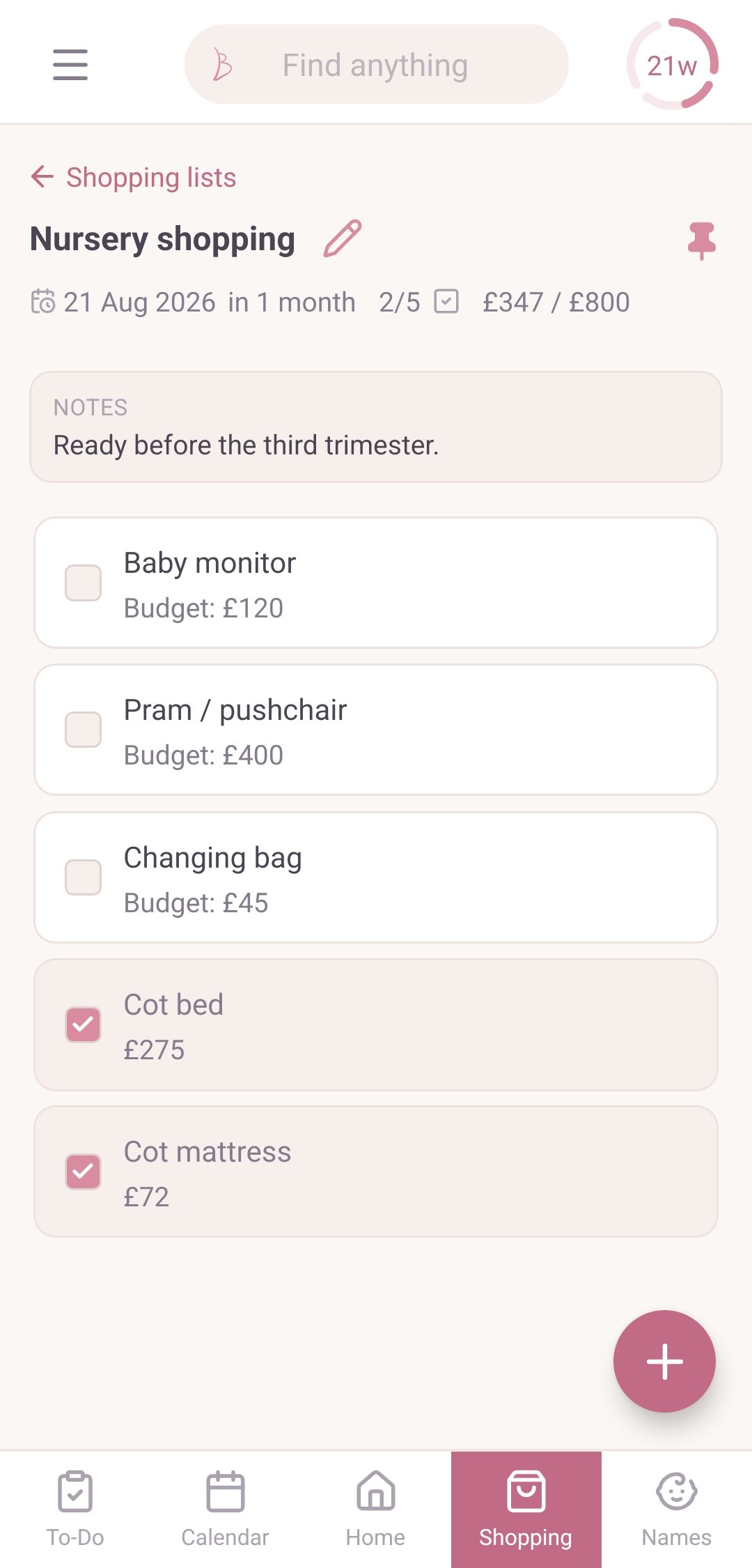 Shopping list with budget